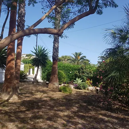 Domi Villa *